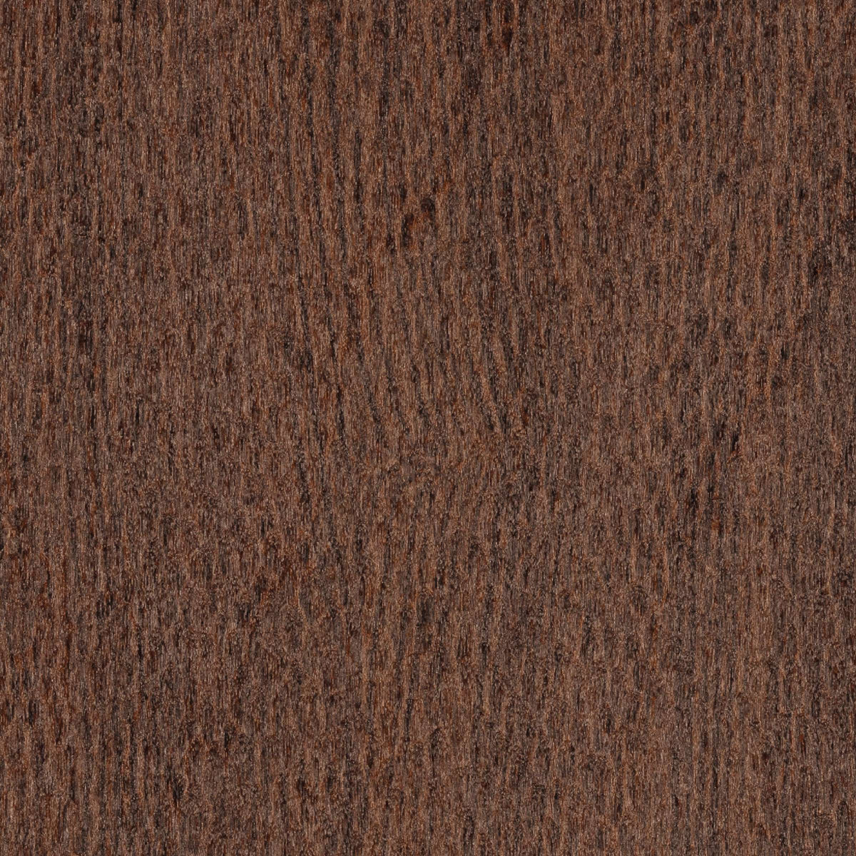 Elitis- Bois sculpté / Rollo 7m2